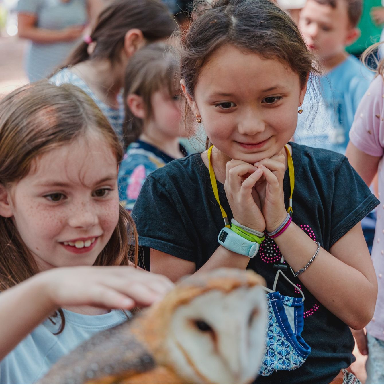 A group of young girls with excited expressions, one holding a barn owl, at an outdoor educational event.