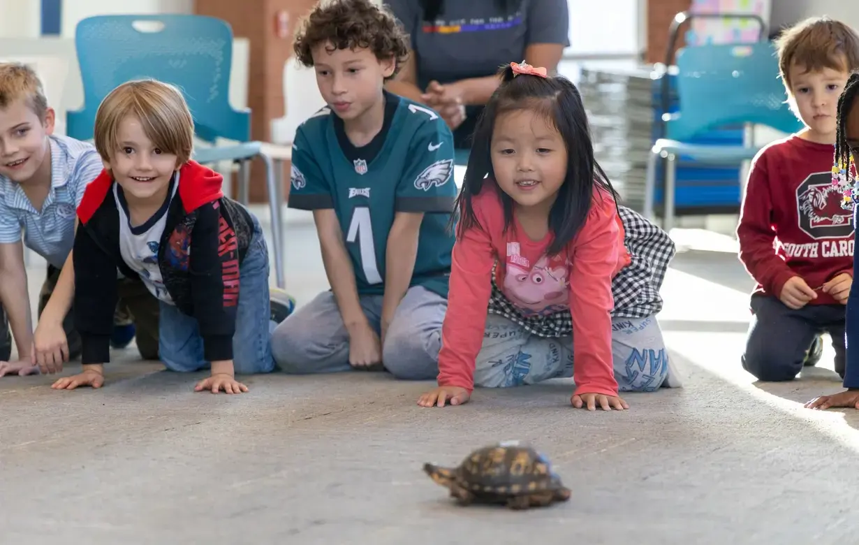 Group of Trinity Lower School students sitting on the floor looking at a baby tortoise during after school care